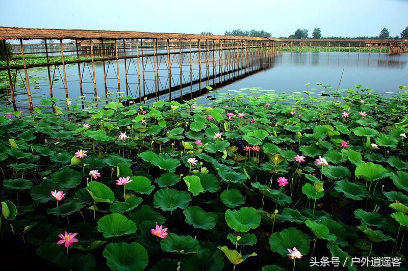 湖北荆州十大旅游景点