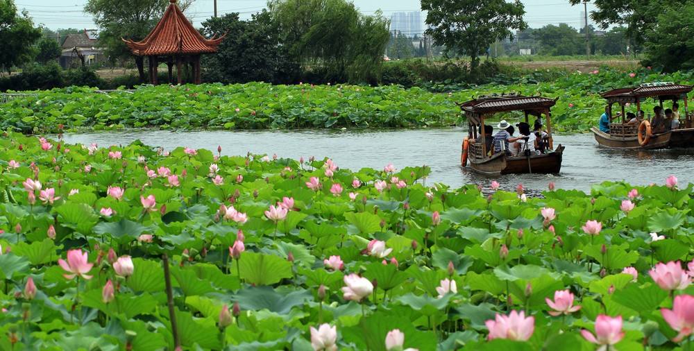 芜湖这十大景点，你都游玩过吗？